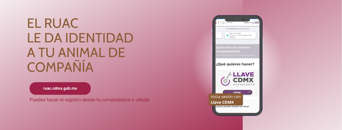 Registro de Animales de Compañía