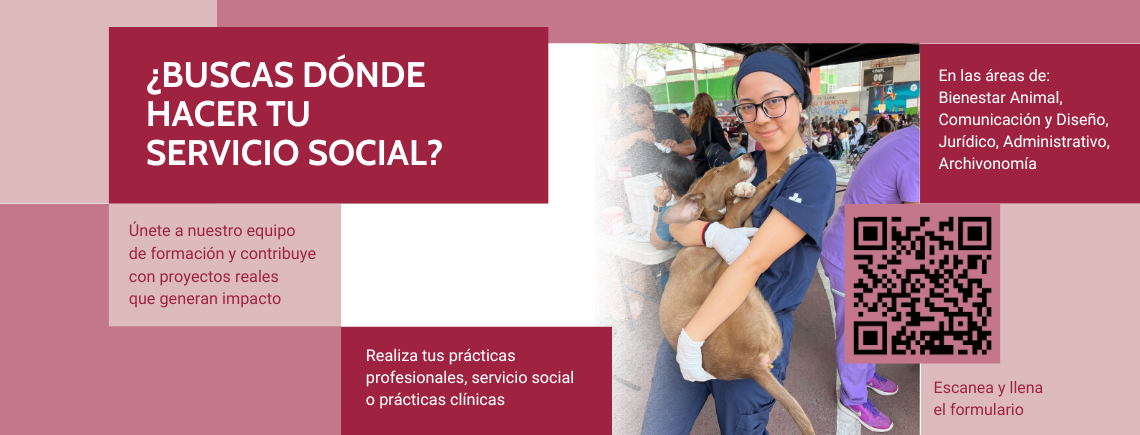 Servicio Social