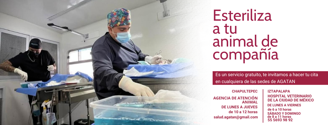 Jornada Permanente de Esterilización