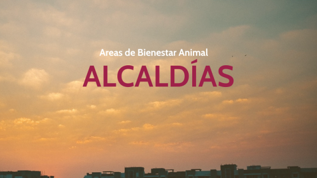 ÁREAS DE ATENCIÓN ANIMAL